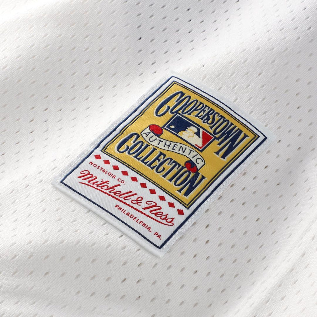 Chicago White Sox Carlton Fisk Mitchell & Ness Authentic Batting Practice Jersey - White