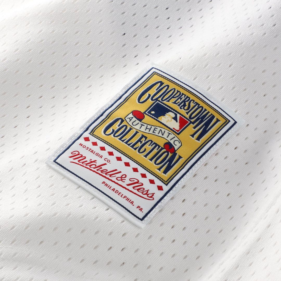 Chicago White Sox Carlton Fisk Mitchell & Ness Authentic Batting Practice Jersey - Navy