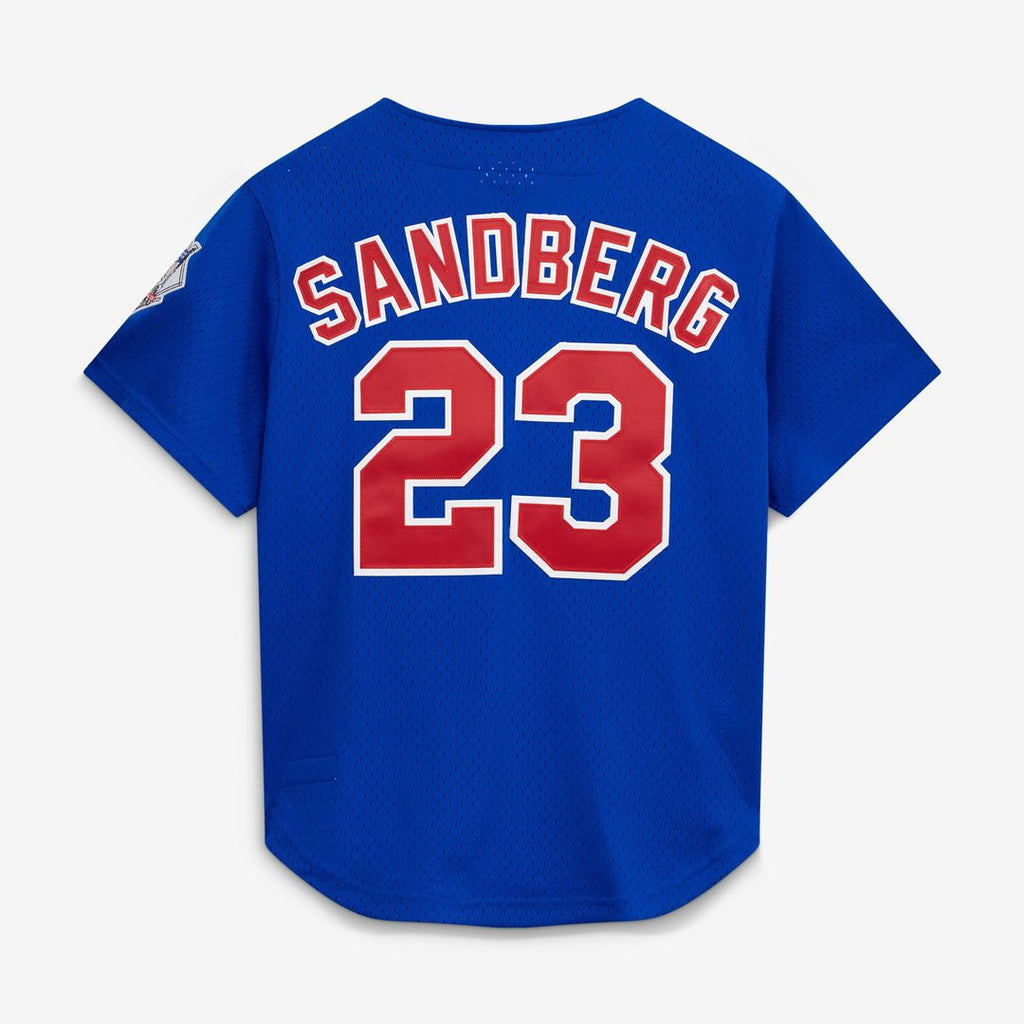 Chicago Cubs Ryne Sandberg Mitchell & Ness Cooperstown 1997 Mesh Batting Practice Button - Up Jersey - Royal