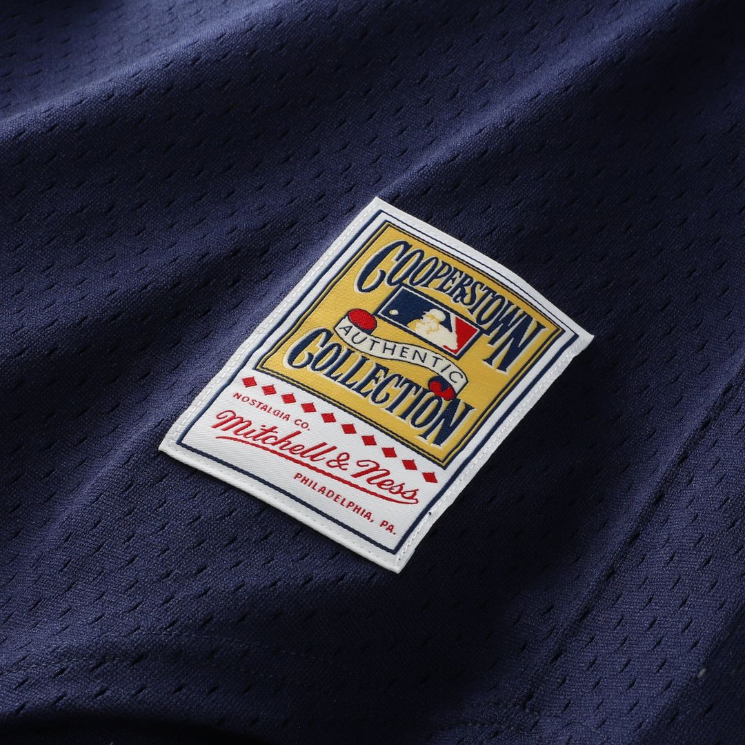 Detroit Tigers Alan Trammell Mitchell & Ness Authentic Batting Practice Jersey - Navy